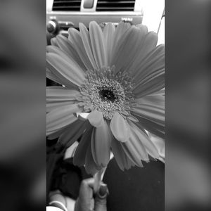 Meet your Posher, Kadecia